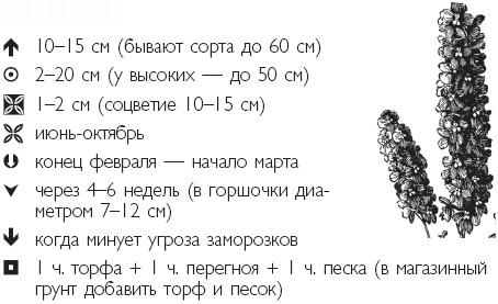 Иллюстрация к книге — Рассада. Лучше, чем у всех! Секреты, хитрости, подсказки умного садовода. Лунный календарь. Самый удобный и полезный [autogen_ebook_id36.jpg]