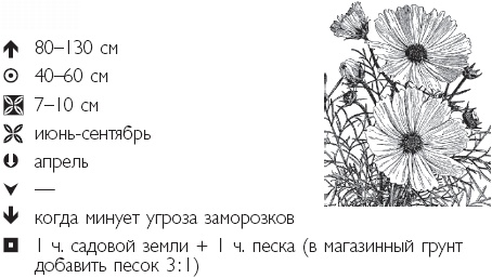 Иллюстрация к книге — Рассада. Лучше, чем у всех! Секреты, хитрости, подсказки умного садовода. Лунный календарь. Самый удобный и полезный [autogen_ebook_id38.jpg]