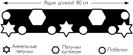 Иллюстрация к книге — Рассада. Лучше, чем у всех! Секреты, хитрости, подсказки умного садовода. Лунный календарь. Самый удобный и полезный [autogen_ebook_id45.jpg]