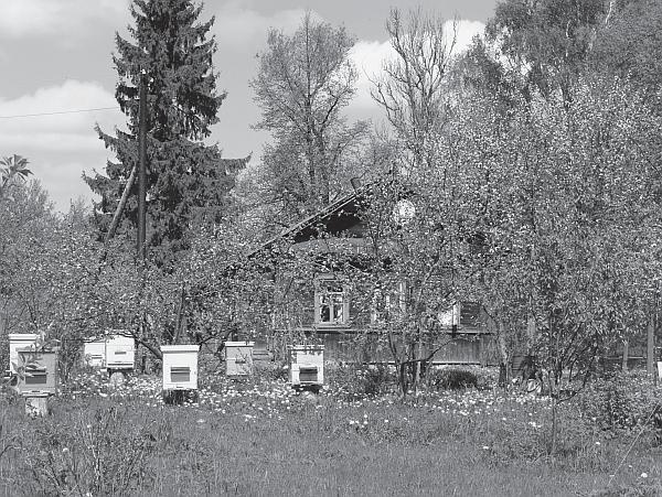 Иллюстрация к книге — Пчеловодство для начинающих [_03.jpg]