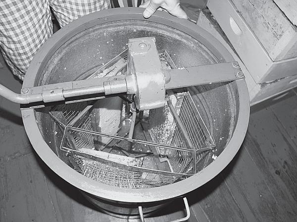 Иллюстрация к книге — Пчеловодство для начинающих [_08.jpg]