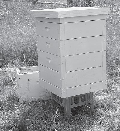 Иллюстрация к книге — Пчеловодство для начинающих [_103.jpg]