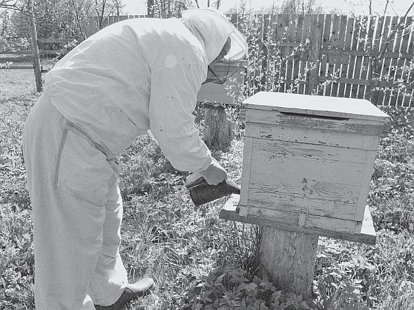 Иллюстрация к книге — Пчеловодство для начинающих [_105.jpg]