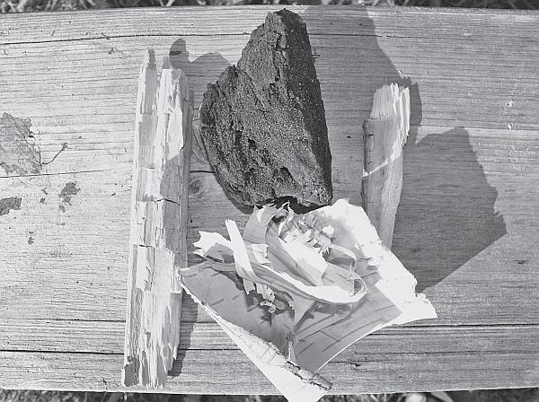 Иллюстрация к книге — Пчеловодство для начинающих [_12.jpg]