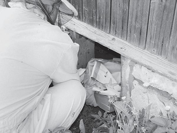 Иллюстрация к книге — Пчеловодство для начинающих [_140.jpg]