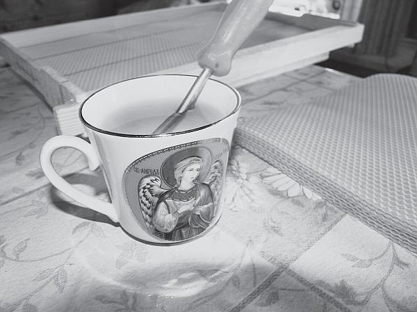 Иллюстрация к книге — Пчеловодство для начинающих [_146.jpg]