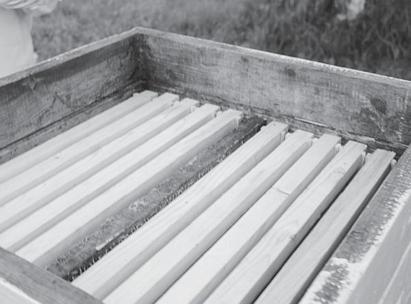 Иллюстрация к книге — Пчеловодство для начинающих [_156.jpg]