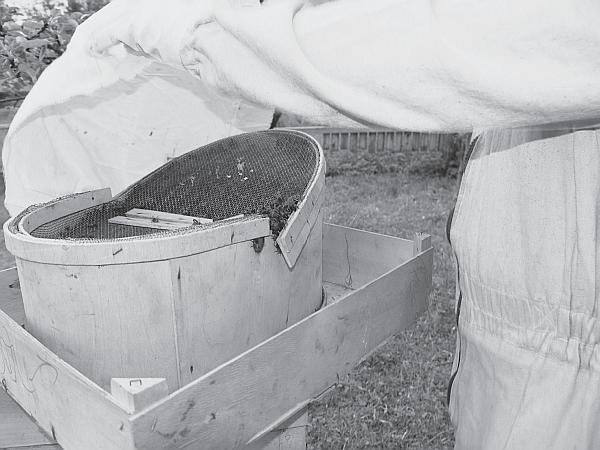 Иллюстрация к книге — Пчеловодство для начинающих [_158.jpg]