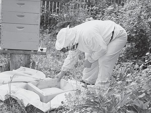 Иллюстрация к книге — Пчеловодство для начинающих [_168.jpg]