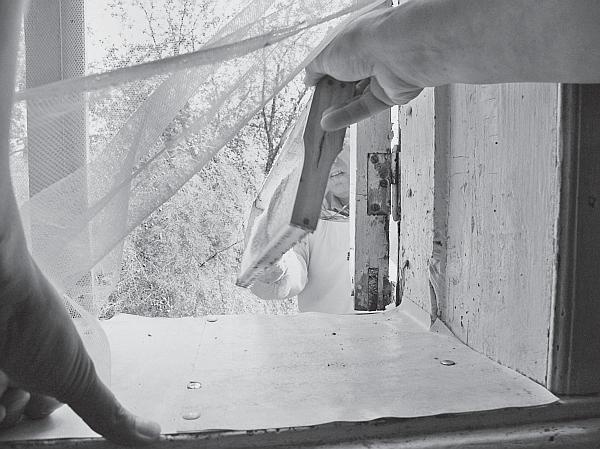 Иллюстрация к книге — Пчеловодство для начинающих [_191.jpg]