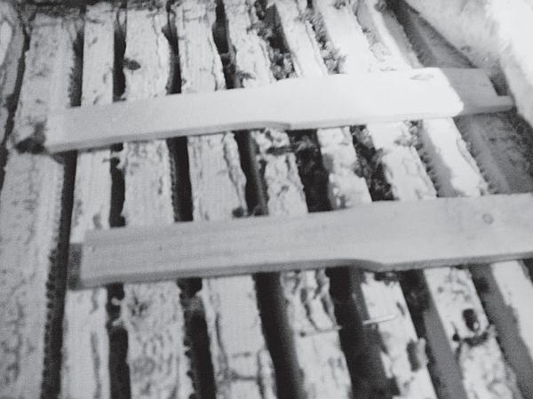 Иллюстрация к книге — Пчеловодство для начинающих [_200.jpg]