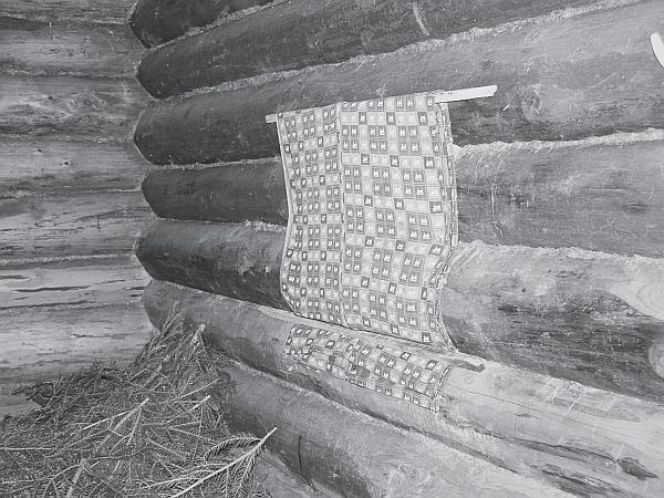 Иллюстрация к книге — Пчеловодство для начинающих [_204.jpg]