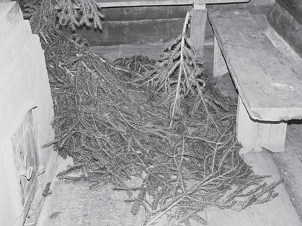 Иллюстрация к книге — Пчеловодство для начинающих [_205.jpg]