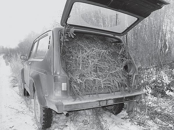 Иллюстрация к книге — Пчеловодство для начинающих [_207.jpg]