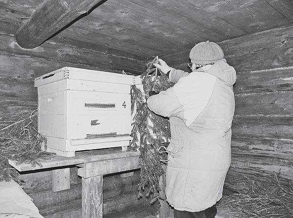 Иллюстрация к книге — Пчеловодство для начинающих [_208.jpg]