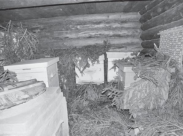 Иллюстрация к книге — Пчеловодство для начинающих [_209.jpg]