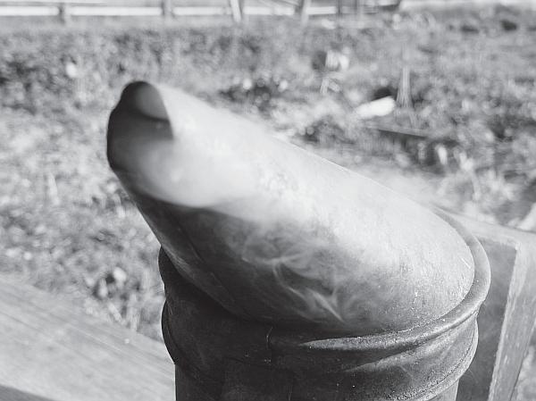 Иллюстрация к книге — Пчеловодство для начинающих [_21.jpg]