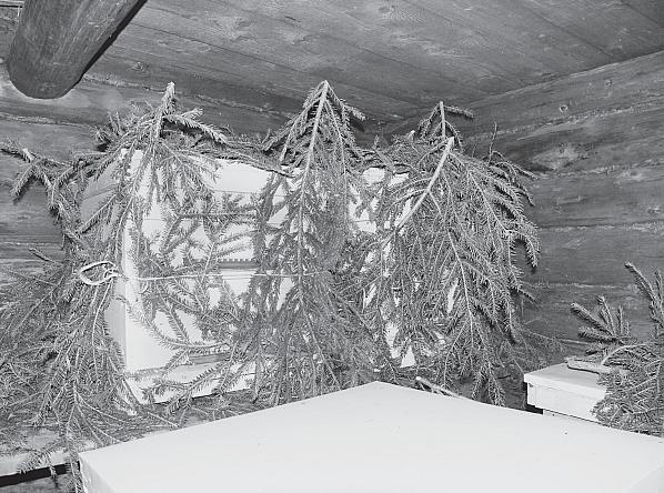 Иллюстрация к книге — Пчеловодство для начинающих [_210.jpg]