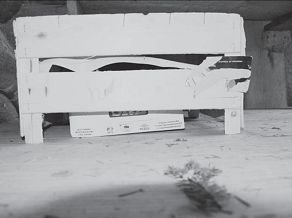 Иллюстрация к книге — Пчеловодство для начинающих [_214.jpg]