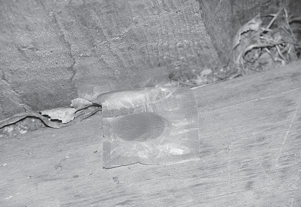 Иллюстрация к книге — Пчеловодство для начинающих [_215.jpg]