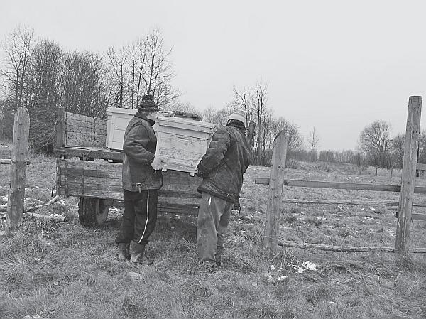 Иллюстрация к книге — Пчеловодство для начинающих [_216.jpg]