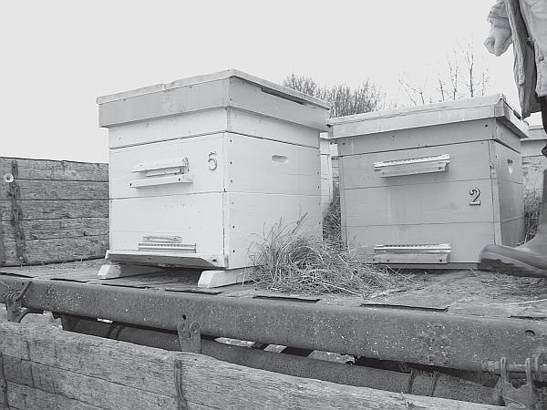 Иллюстрация к книге — Пчеловодство для начинающих [_217.jpg]