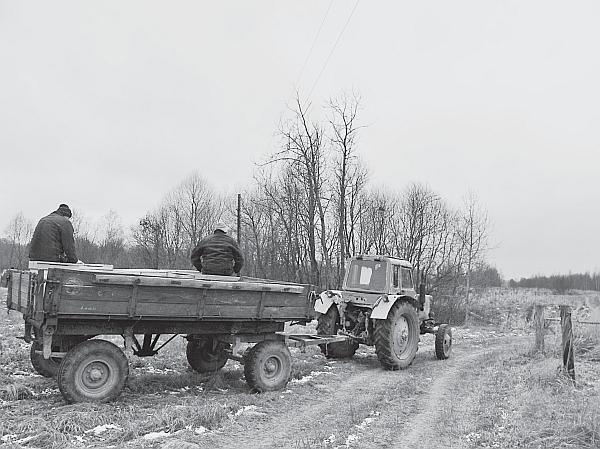 Иллюстрация к книге — Пчеловодство для начинающих [_218.jpg]