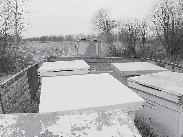 Иллюстрация к книге — Пчеловодство для начинающих [_219.jpg]