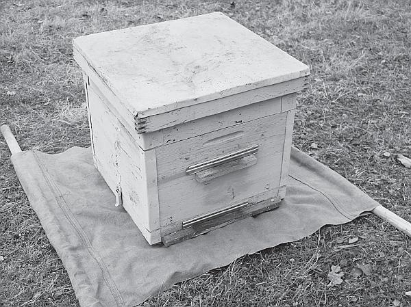 Иллюстрация к книге — Пчеловодство для начинающих [_224.jpg]