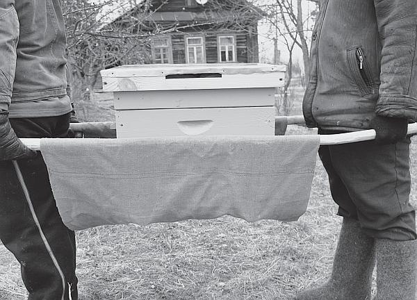 Иллюстрация к книге — Пчеловодство для начинающих [_225.jpg]