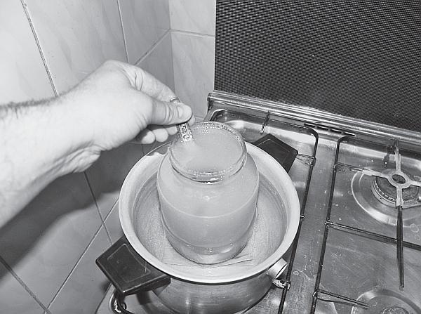 Иллюстрация к книге — Пчеловодство для начинающих [_227.jpg]