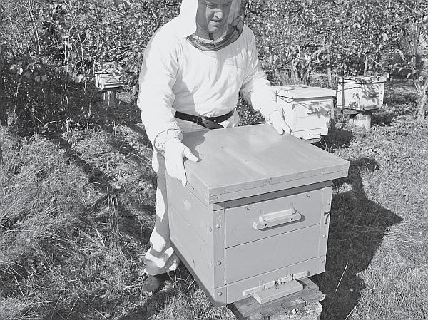 Иллюстрация к книге — Пчеловодство для начинающих [_23.jpg]