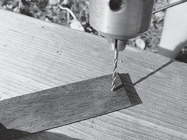 Иллюстрация к книге — Пчеловодство для начинающих [_251.jpg]