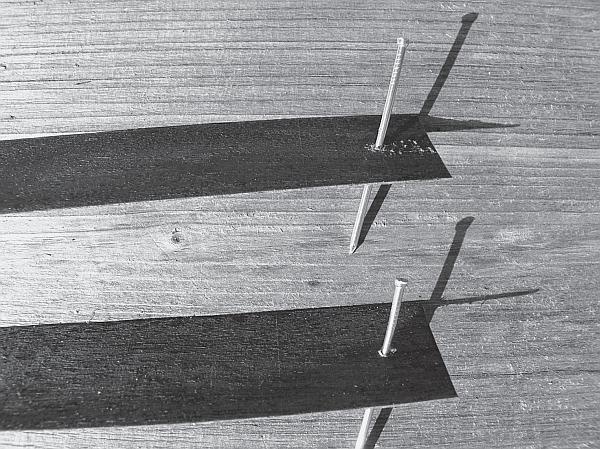 Иллюстрация к книге — Пчеловодство для начинающих [_252.jpg]