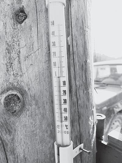 Иллюстрация к книге — Пчеловодство для начинающих [_260.jpg]