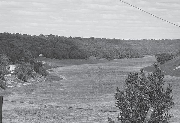 Иллюстрация к книге — Пчеловодство для начинающих [_267.jpg]