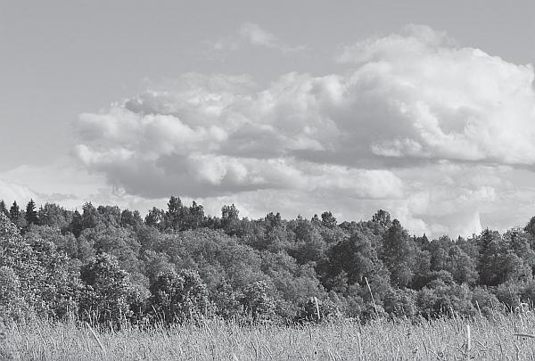 Иллюстрация к книге — Пчеловодство для начинающих [_268.jpg]