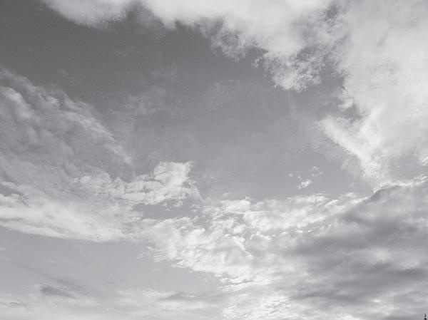 Иллюстрация к книге — Пчеловодство для начинающих [_269.jpg]