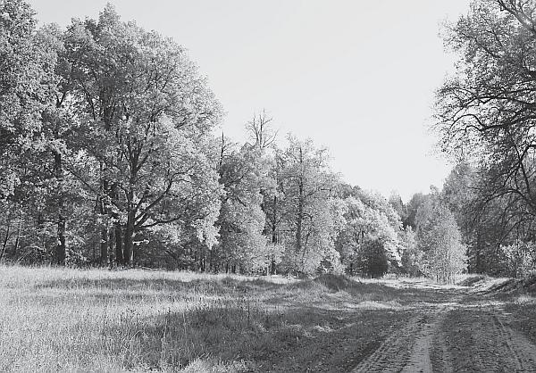 Иллюстрация к книге — Пчеловодство для начинающих [_276.jpg]