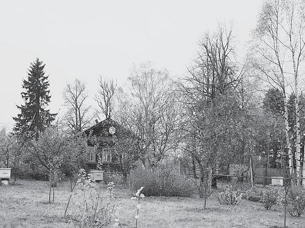 Иллюстрация к книге — Пчеловодство для начинающих [_285.jpg]