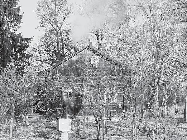 Иллюстрация к книге — Пчеловодство для начинающих [_286.jpg]