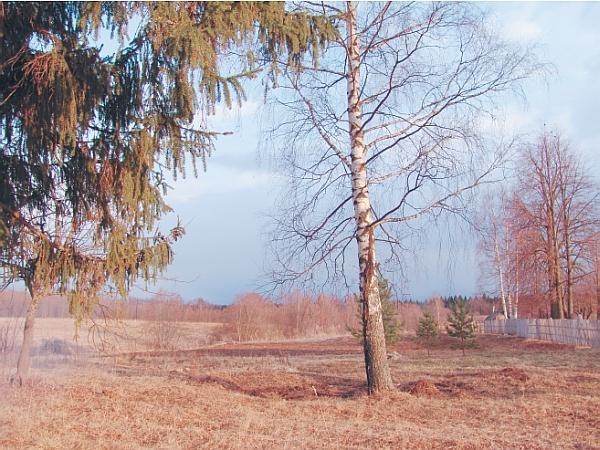 Иллюстрация к книге — Пчеловодство для начинающих [_303.jpg]