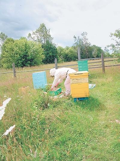 Иллюстрация к книге — Пчеловодство для начинающих [_310.jpg]