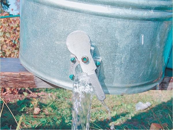 Иллюстрация к книге — Пчеловодство для начинающих [_337.jpg]