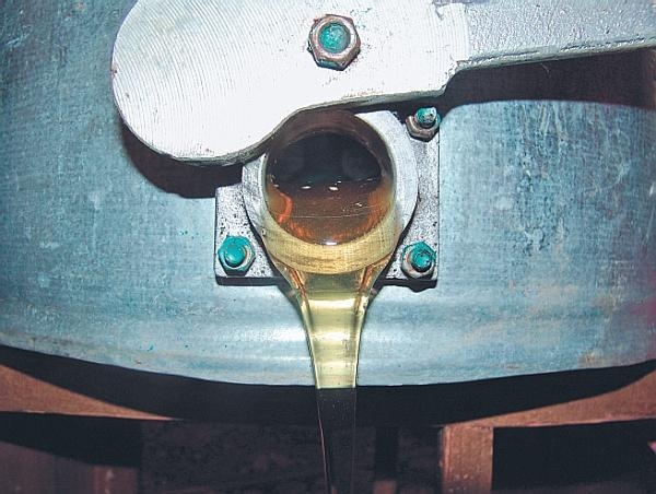 Иллюстрация к книге — Пчеловодство для начинающих [_339.jpg]