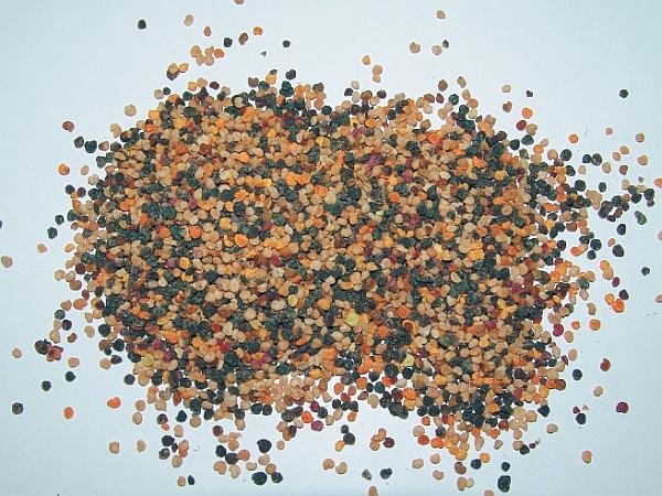 Иллюстрация к книге — Пчеловодство для начинающих [_340.jpg]