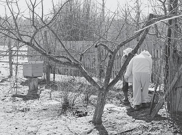 Иллюстрация к книге — Пчеловодство для начинающих [_39.jpg]