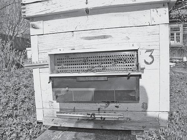 Иллюстрация к книге — Пчеловодство для начинающих [_41.jpg]