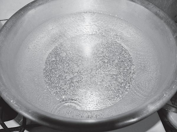 Иллюстрация к книге — Пчеловодство для начинающих [_45.jpg]