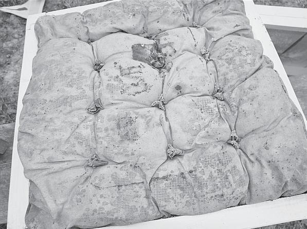 Иллюстрация к книге — Пчеловодство для начинающих [_52.jpg]